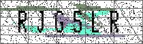 
                        Carregando captcha...