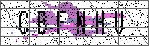 Carregando captcha...