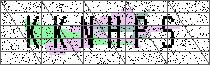 Carregando captcha...
