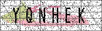 Carregando captcha...