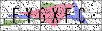 Carregando captcha...