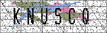 Carregando captcha...