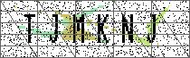 Carregando captcha...