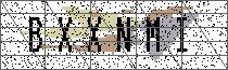 Carregando captcha...