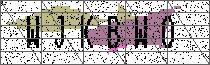 Carregando captcha...