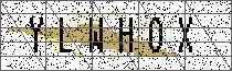 Carregando captcha...