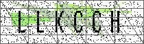 Carregando captcha...