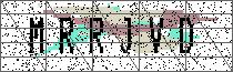 Carregando captcha...