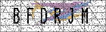 Carregando captcha...