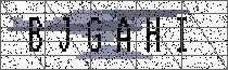 Carregando captcha...