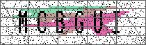 Carregando captcha...