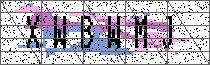 Carregando captcha...