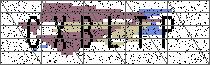 Carregando captcha...