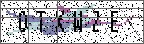 Carregando captcha...