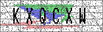 Carregando captcha...