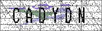 
                        Carregando captcha...