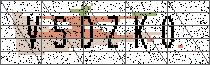 
                        Carregando captcha...