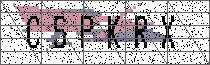 
                        Carregando captcha...