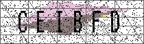 
                        Carregando captcha...