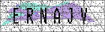 
                        Carregando captcha...