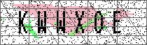 
                        Carregando captcha...