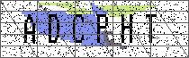 
                        Carregando captcha...