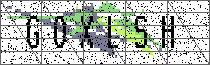 
                        Carregando captcha...