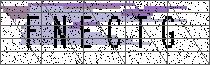 
                        Carregando captcha...