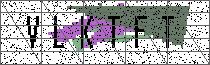 Carregando captcha...
