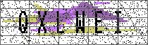 Carregando captcha...
