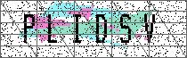 Carregando captcha...