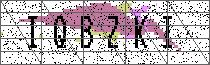 Carregando captcha...