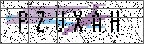 Carregando captcha...