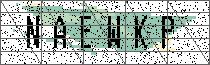 Carregando captcha...