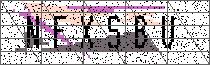 Carregando captcha...