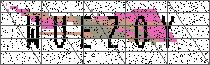 Carregando captcha...