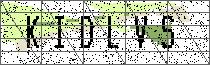 Carregando captcha...