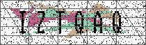 Carregando captcha...