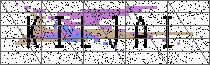 Carregando captcha...