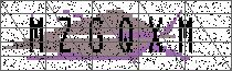Carregando captcha...