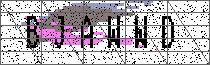 Carregando captcha...