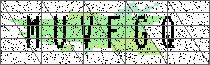 Carregando captcha...