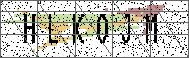Carregando captcha...