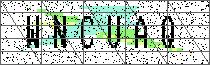 Carregando captcha...