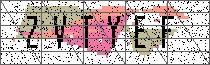 Carregando captcha...