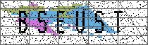 Carregando captcha...