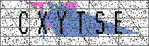 Carregando captcha...