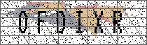 Carregando captcha...