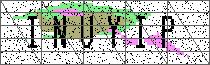 Carregando captcha...