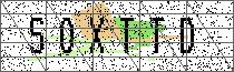 Carregando captcha...